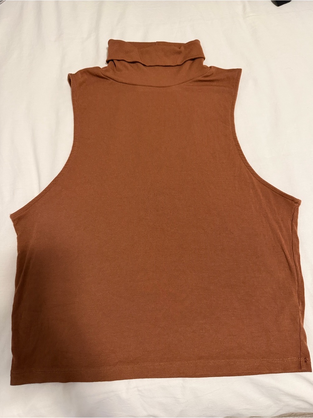 Aritzia Sleeveless Turtleneck Tank Top in Rust Brown